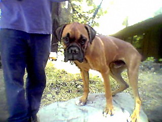 My New Baby Conner