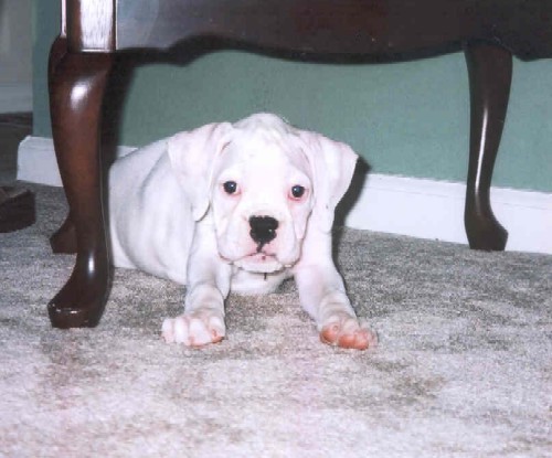 My new baby girl!