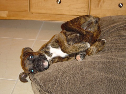 My New Bed