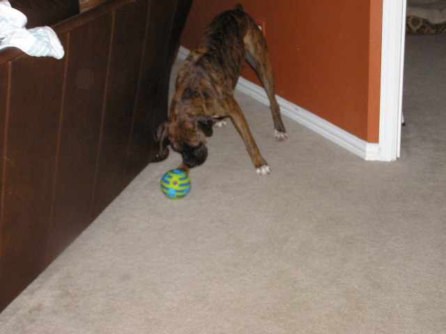 My New Birthday Toy!
