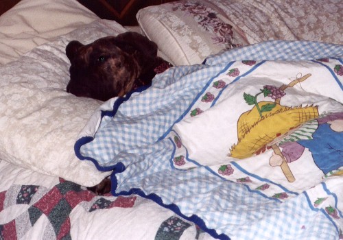 My New Blanket