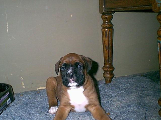 my new bud