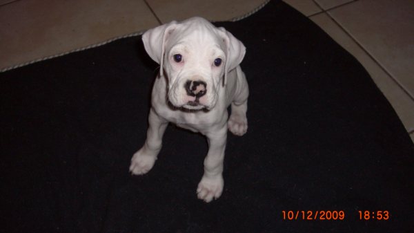 My new girl