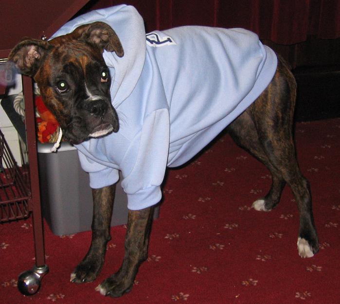 My New Hoody