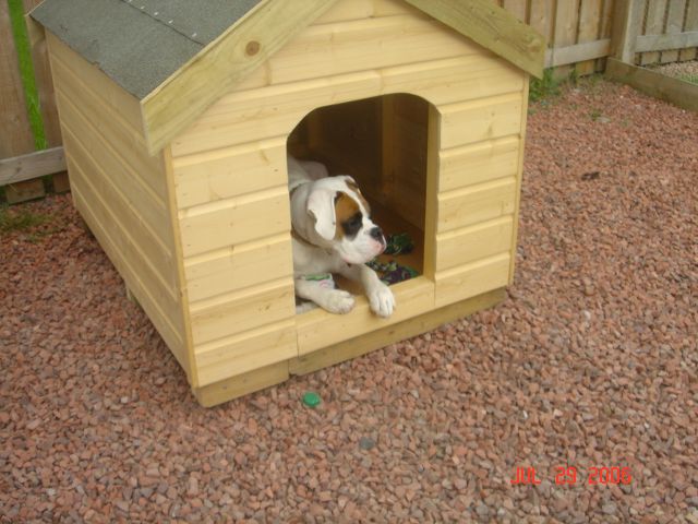 My New Kennel