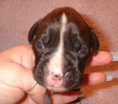My New little girl...