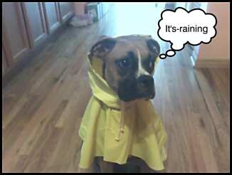 My new rain coat