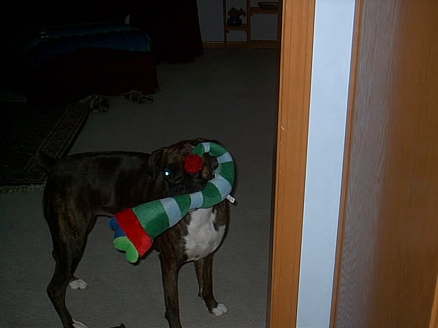 My new stocking toy