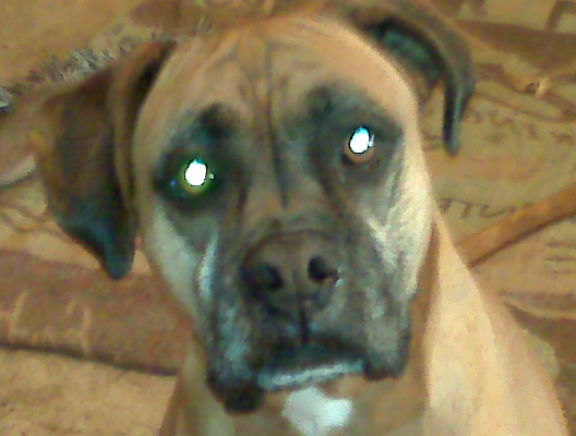 My old girl