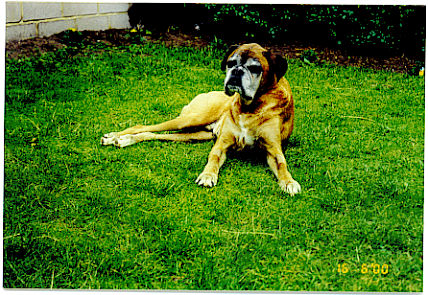 My old man Zeus