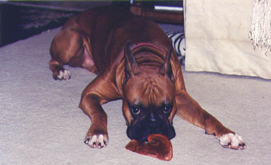 My Pig Ear!