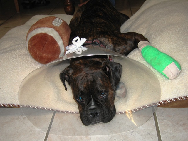 My Poor Baby