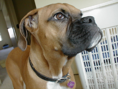 my pretty baby girl asia