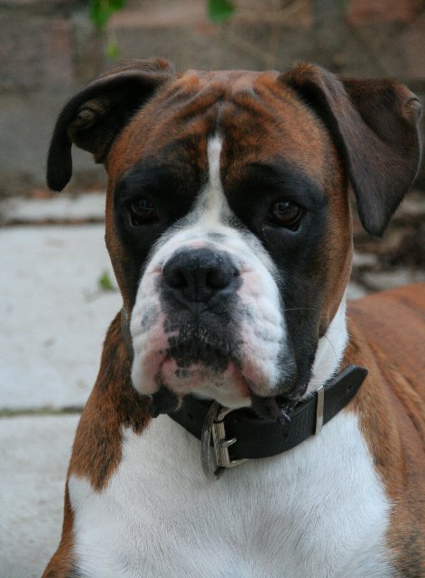 My pretty boy