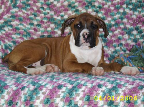 My pretty boy!!