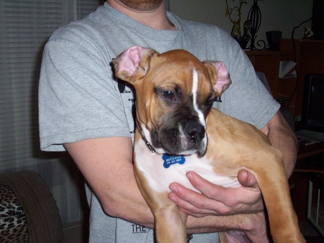my pretty ears