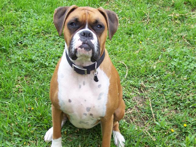 My Pretty Girl Samantha - 21 Month's Old