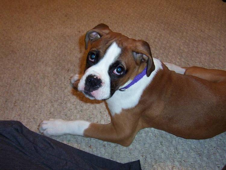 my pretty girl