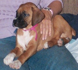 My Pretty Girl