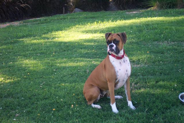 My Pretty Girl