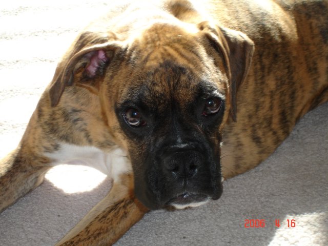 My pretty girl!