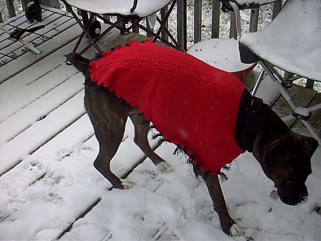 My red sweater