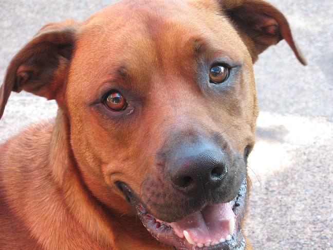 my Riley love