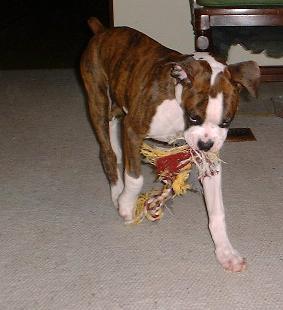 My Rope