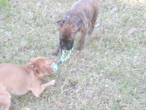 My Rope!