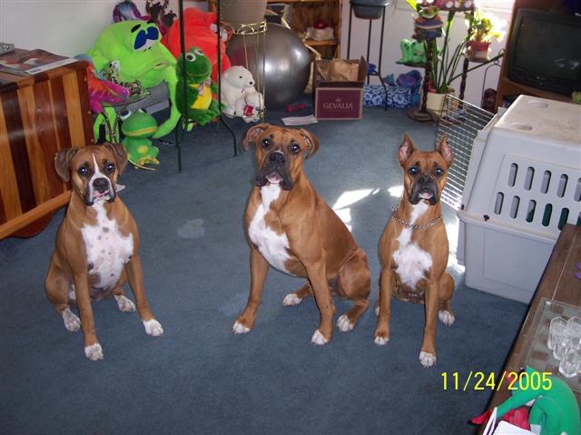 My rough band of misfits