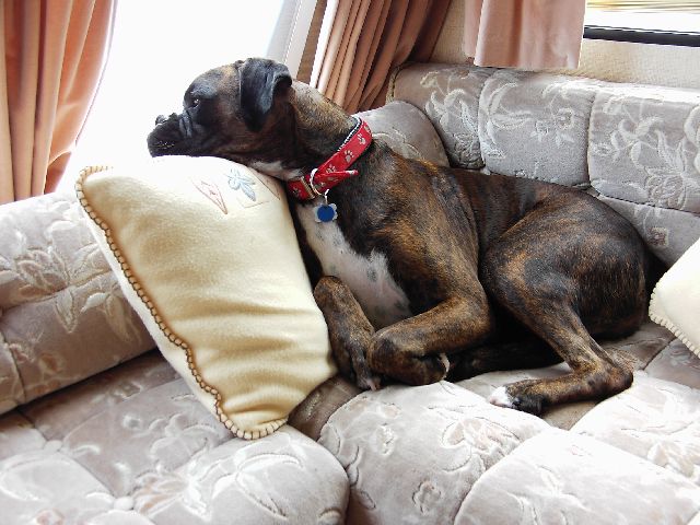 My seat in the caravan