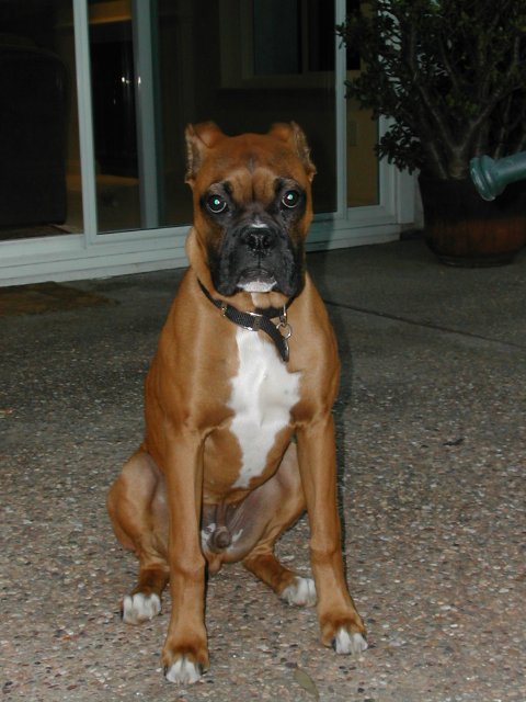 My serious look