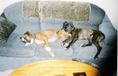 My Sister Roxy
