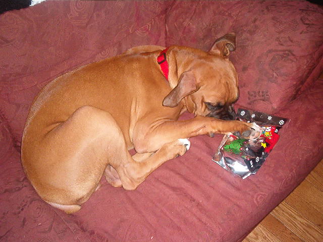 my skittles, dont touch