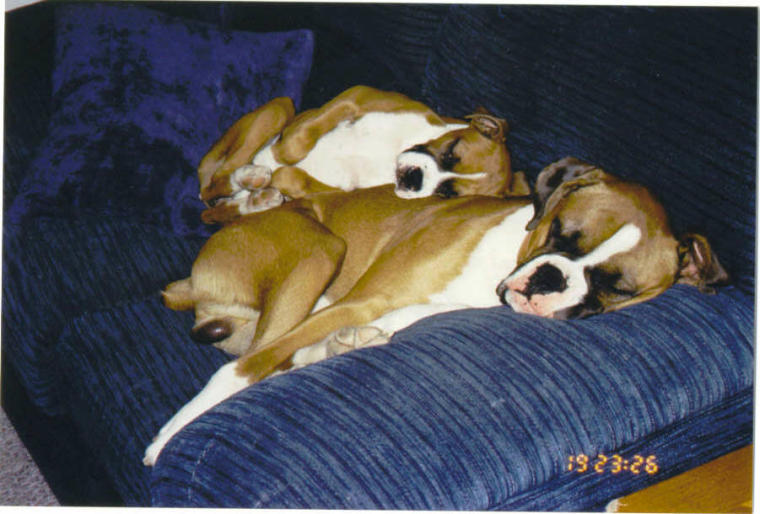 My Sleeping Angels
