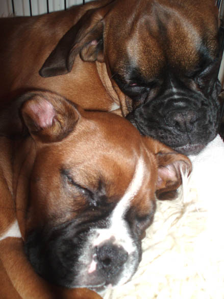 My sleepy baby girls!