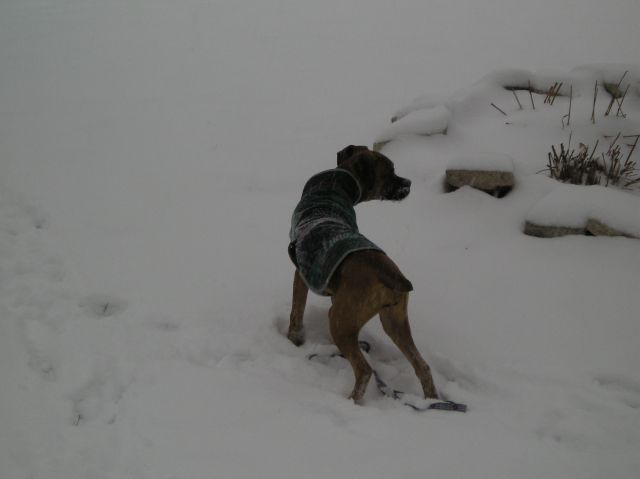 My snow baby!!!