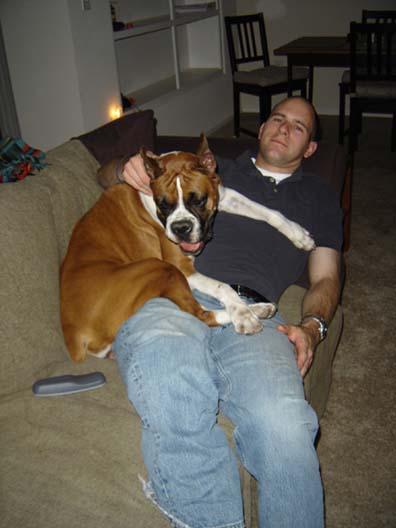 My Sofa
