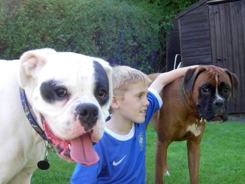 My son and his 2 best friends