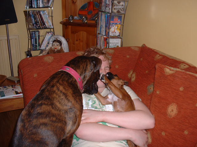 My son getting kissed  by Lola & Zeb