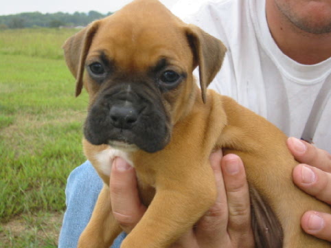 My soon to be baby girl