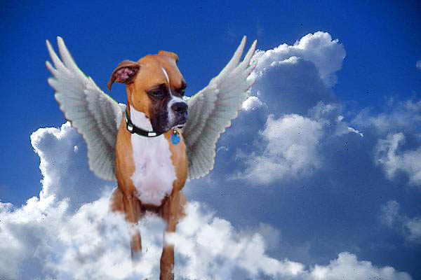 My sweet angel....I miss you!