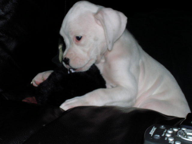 My Sweet baby