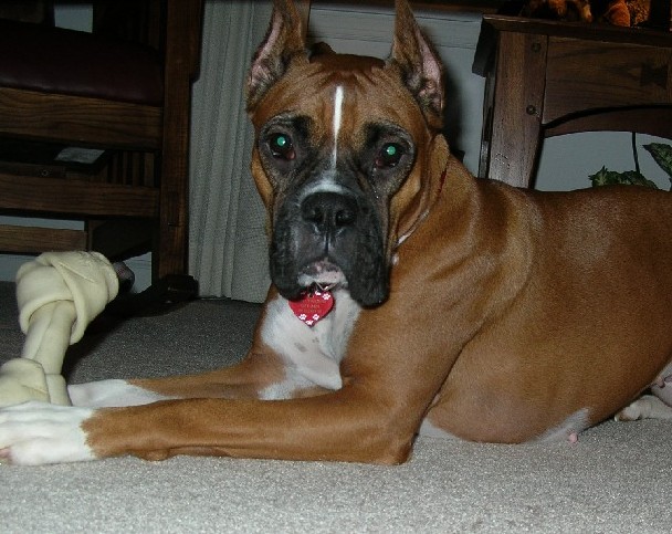 My Sweet Baby