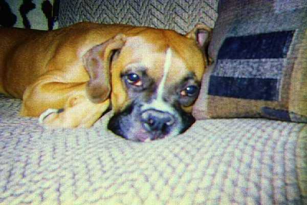 My sweet boy