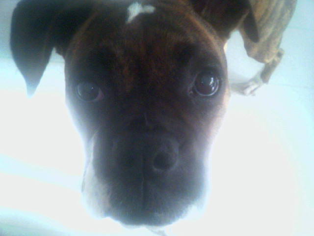 my sweet face