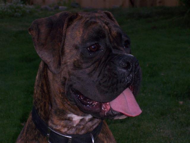 My Sweet Little Syd - 14 Month's Old