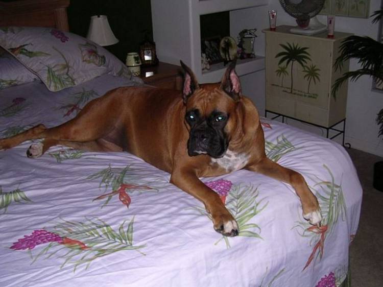 My Tasha!