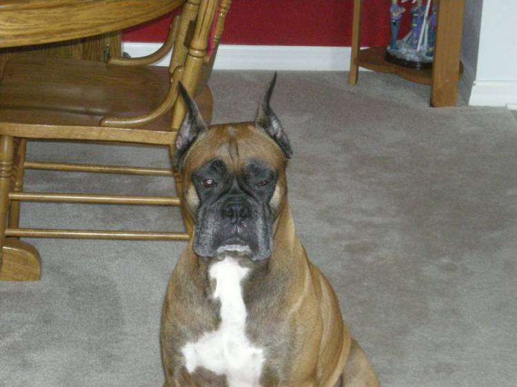 My Taz!