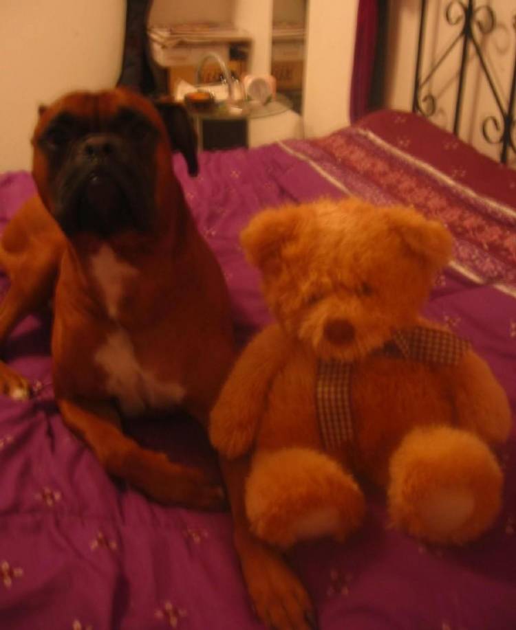 My teddy bear!!